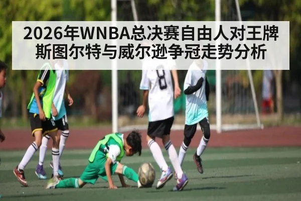 2026年WNBA总决赛自由人对王牌 斯图尔特与威尔逊争冠走势分析