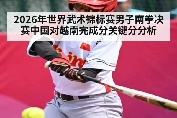 2026年世界武术锦标赛男子南拳决赛中国对越南完成分关键分分析